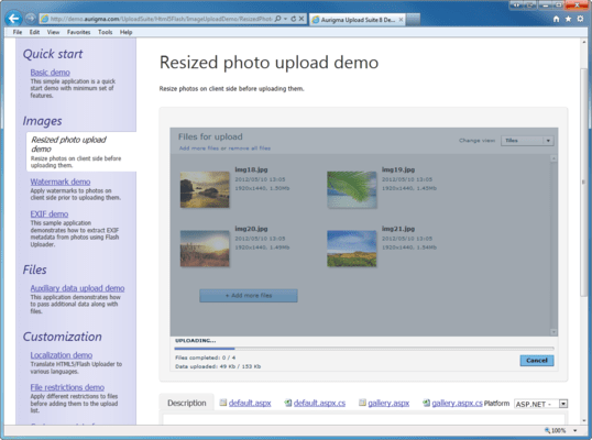 aurigma upload suite